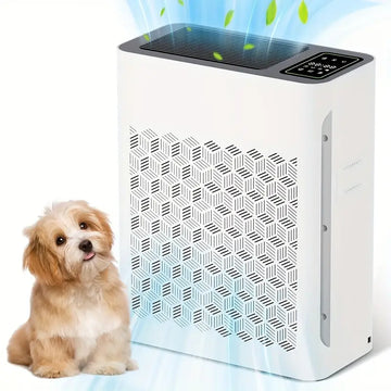 Air Purifier for Large Rooms